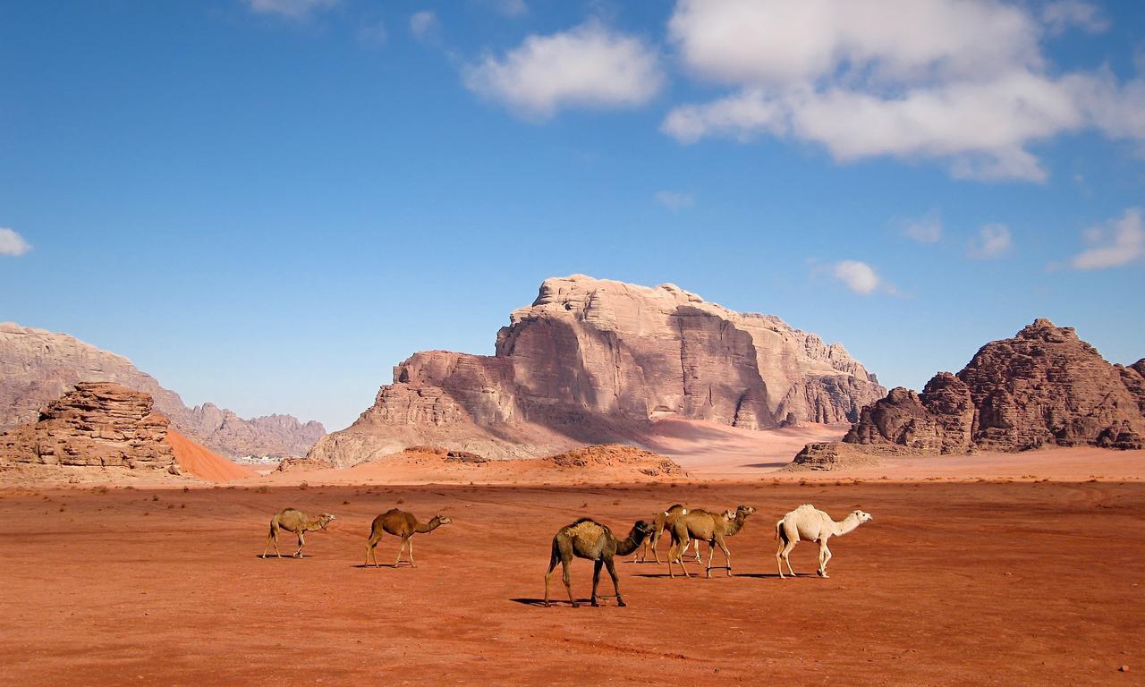 Wadi Rum Moon Light Camp Buitenkant foto