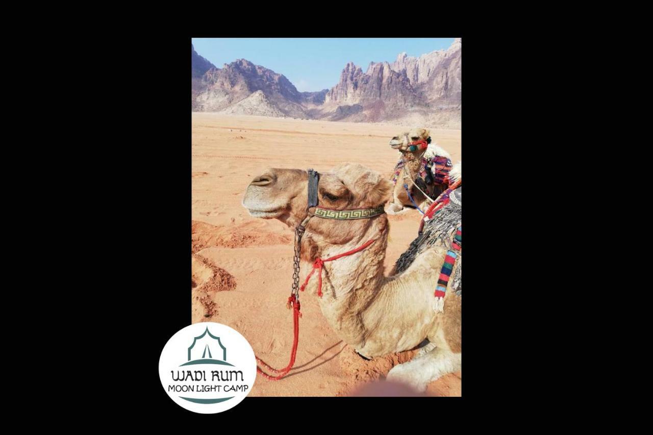 Wadi Rum Moon Light Camp Buitenkant foto